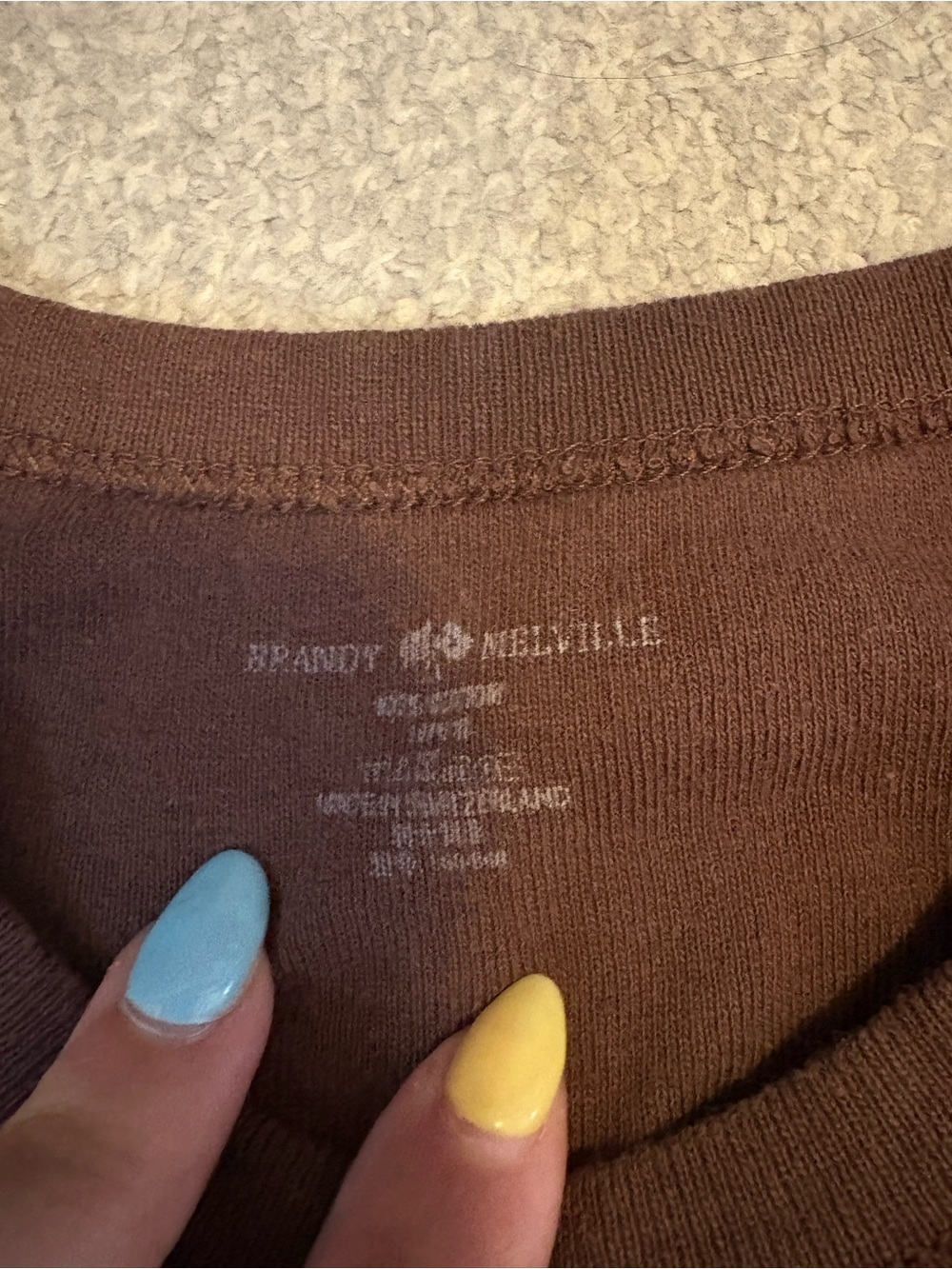 Brandy Melville Chocolate Brown Crewneck Sweater